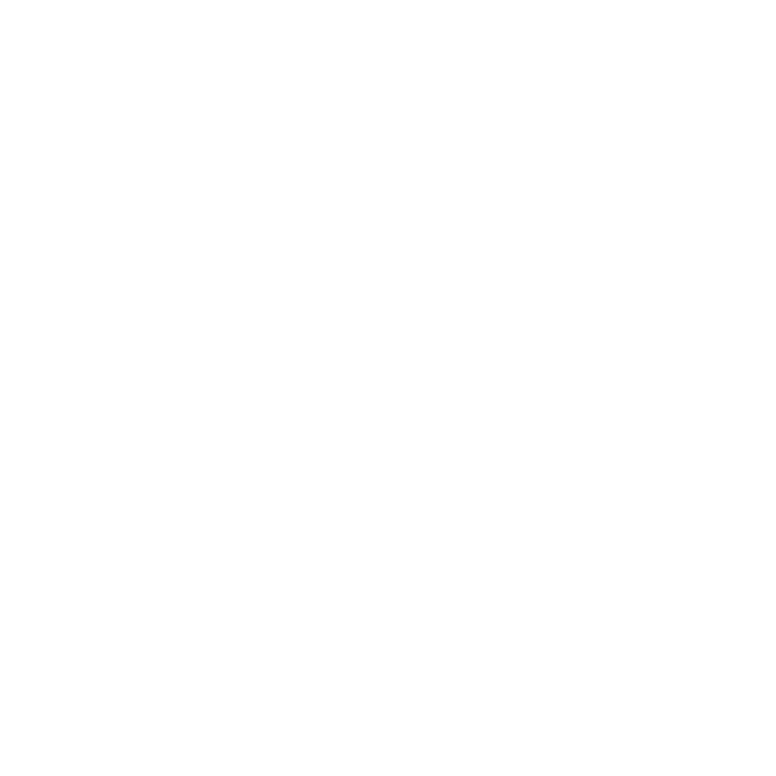 Quick Click Website Audit Logo